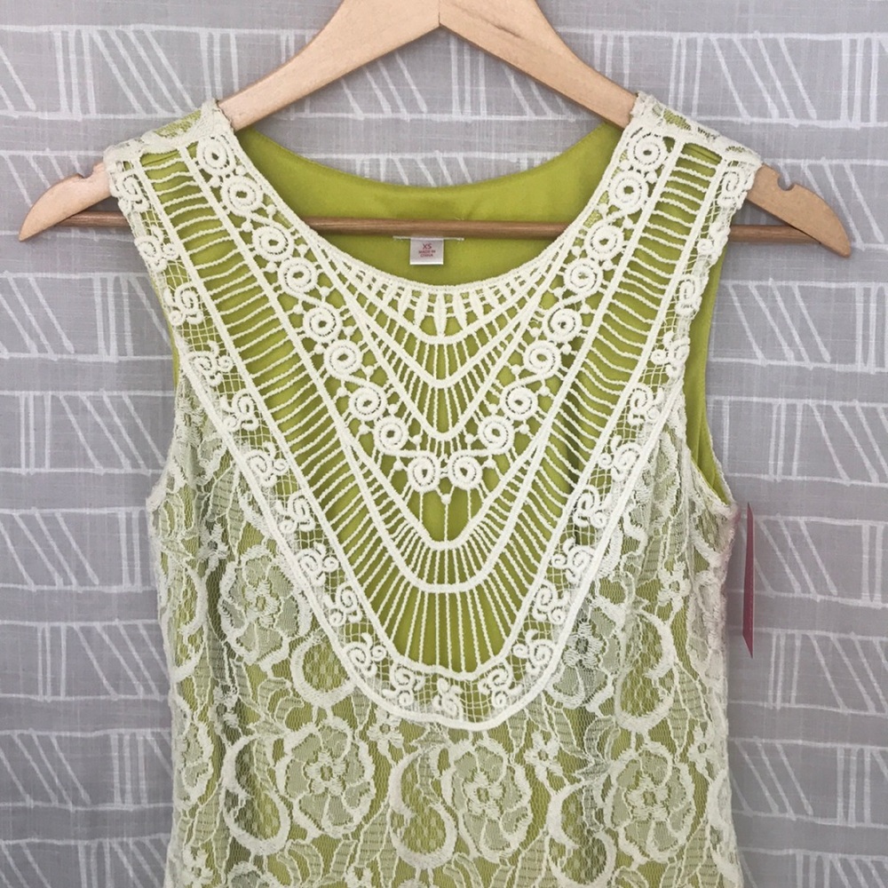 Lace Dress - Picture 3 of 7